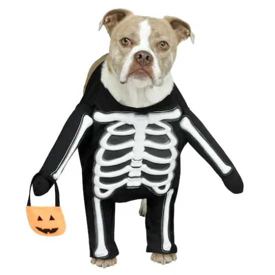 Skeleton Dog Costume by Ashland&reg; {1}