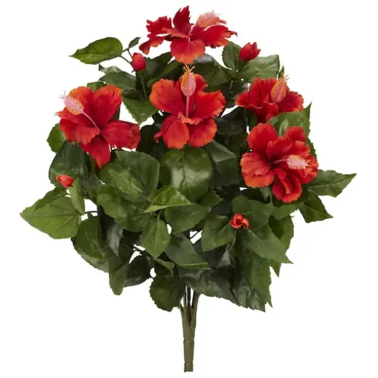 Red Hibiscus Bush, 4ct. {1}