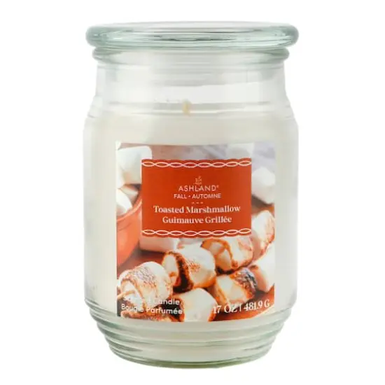 17oz. Fall Scented Jar Candle by Ashland&reg; Toasted Marshmallow {1}