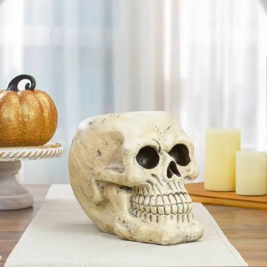 9" Ivory & Black Halloween Skull Tabletop D&eacute;cor {3}