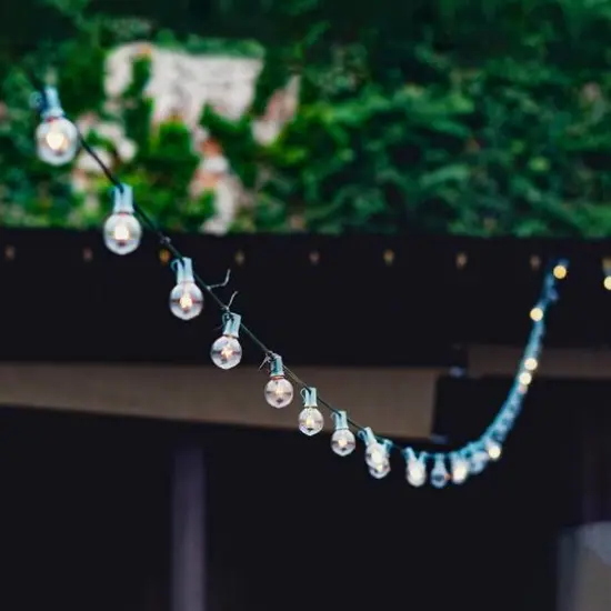 20ct. Clear G40 Globe Patio Garden Christmas Light Set With Green Wire {4}