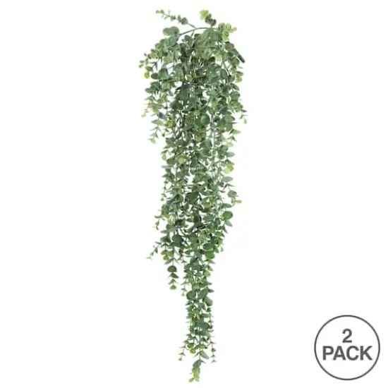 2.5ft. Green Hanging Mini Leaf Eucalyptus Bushes, 2ct. {4}