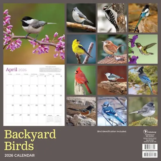 2026 Backyard Birds Wall Calendar {6}