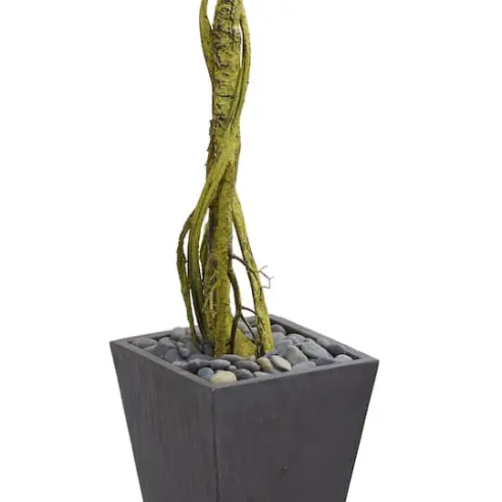 6ft. Ficus Tree in Slate Tower Planter {4}