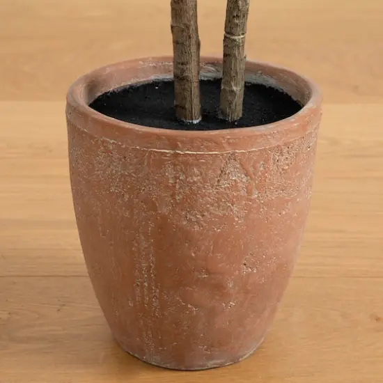 6ft. Rubber Tree in Decorative Planter with Real Touch Leaves {6}