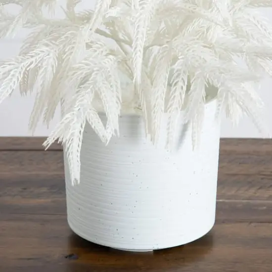 2ft. Artificial Real Touch White Norfolk Island Pine Christmas Tree with Natural Look {5}