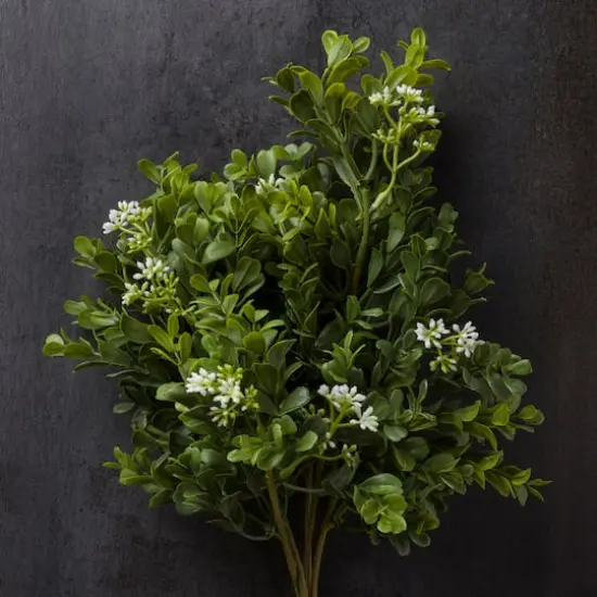 Boxwood & Berry Bush by Ashland&reg; {3}