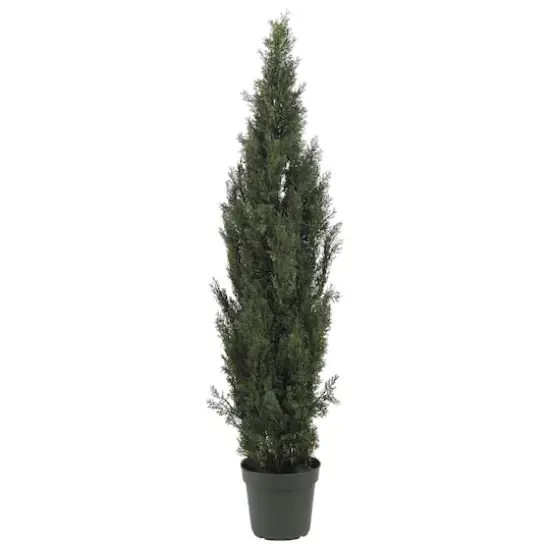 6ft. Cedar Pine Tree {1}