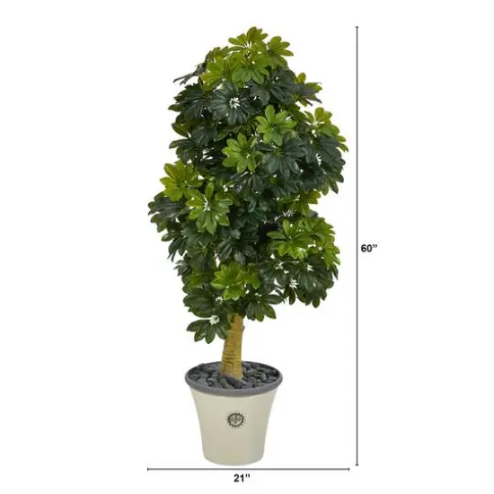 5ft. Umbrella Tree in Decorative Planter {3}