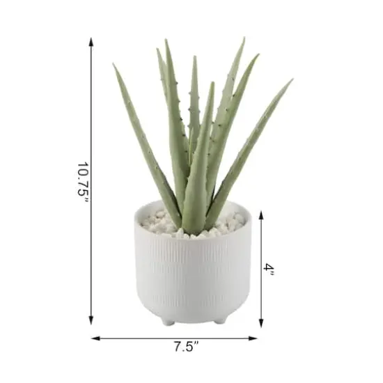 Flora Bunda&reg; 10" Aloe In 5" Barcode Footed Ceramic Pot {3}