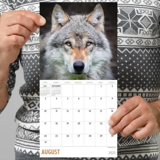 TF Publishing 2025 Wolves Mini Calendar {4}