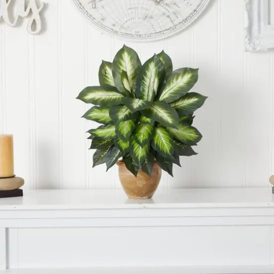 18" Dieffenbachia Tree In Ceramic Planter {6}