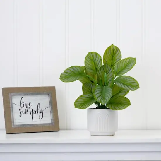 12" Artificial Calathea Plant with Decorative Planter {5}