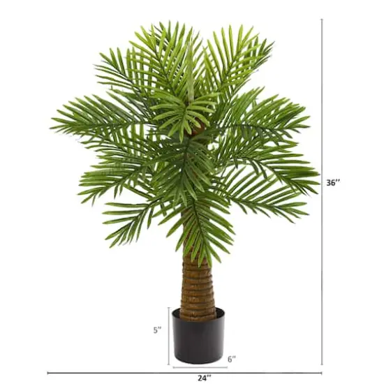 3ft. Potted Date Palm Tree {3}