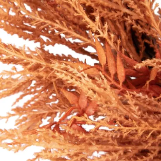 24" Peachy Pampas Grass Artificial Fall Harvest Wreath {5}