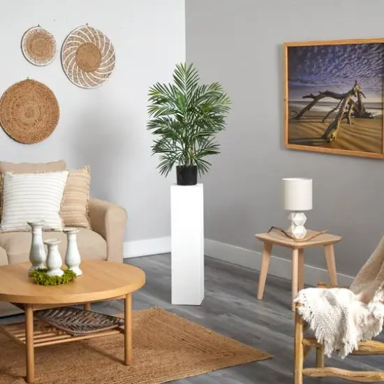 2.5ft. Potted Areca Palm {7}