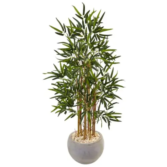 4ft. Bamboo Tree in Sand Colored Bowl {1}