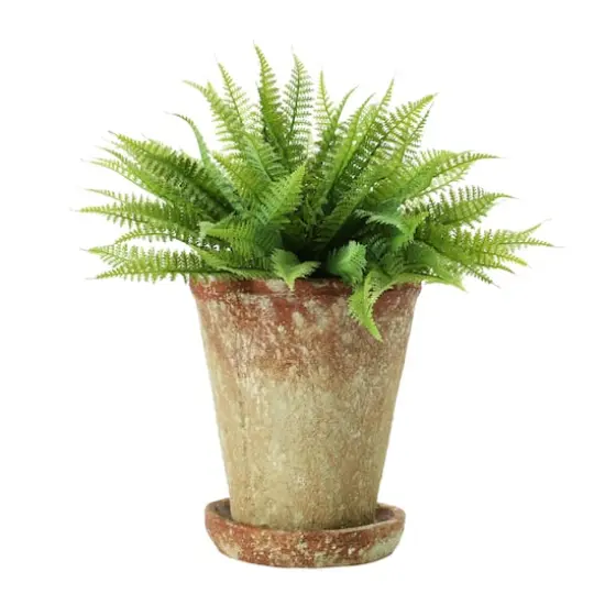 Hello Honey&reg; 7" Distressed Terra Cotta Cement Planter with Saucer Set {5}