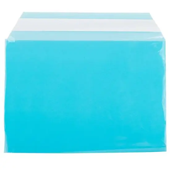 JAM Paper 5.063" x 7.188" Cello Sleeves with Self Adhesive Closures, 100ct. Blue {1}