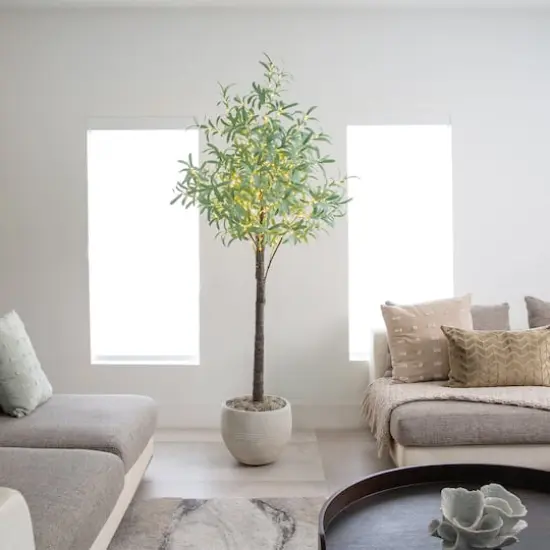 6ft. Pre-Lit Artificial Olive Tree with Warm White LED Lights {3}