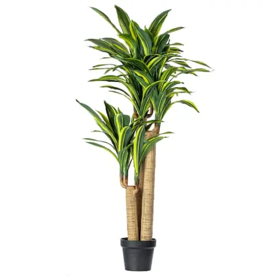4.3ft. Potted Artificial Green & Yellow Dracaena Tree {1}