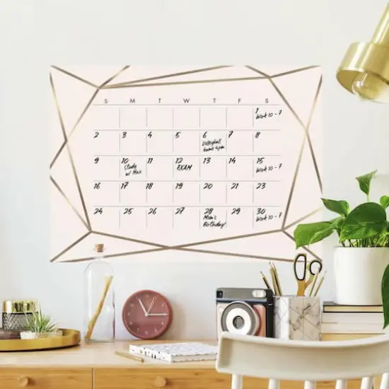 RoomMates Blush Beauty Dry Erase Calendar Peel & Stick Wall Decal {3}