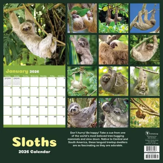 2026 Sloths Wall Calendar {6}