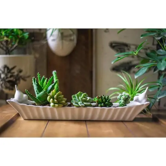 Hello Honey&reg; 15.5" Long White Ceramic Cracker Dish with Two Birds {5}