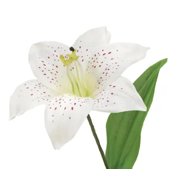 21" Cream Lily Bush by Ashland&reg; {4}