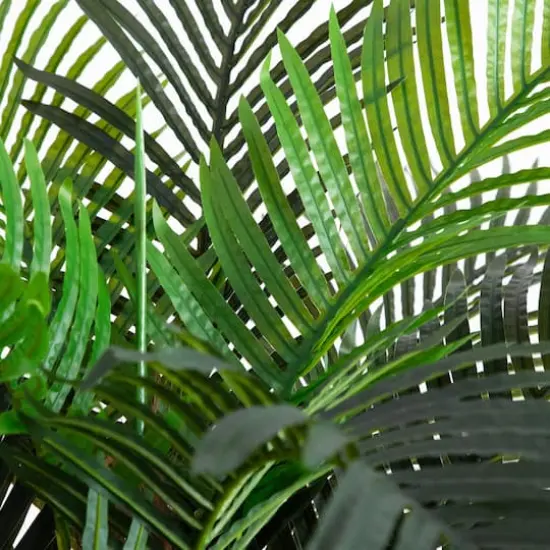 7ft. Potted Coconut Palm Tree {4}