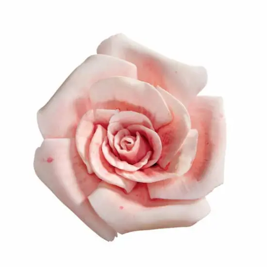Gum Paste Flower Cutter Set by Celebrate It&reg; {9}