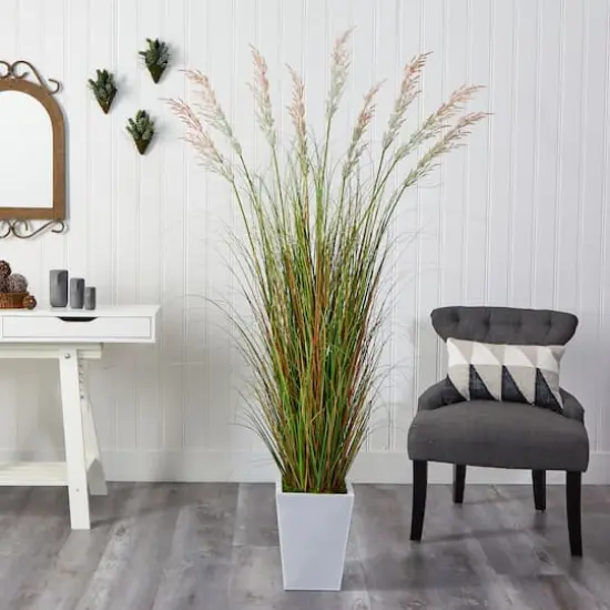 6ft. Grass Plant in White Metal Planter {3}