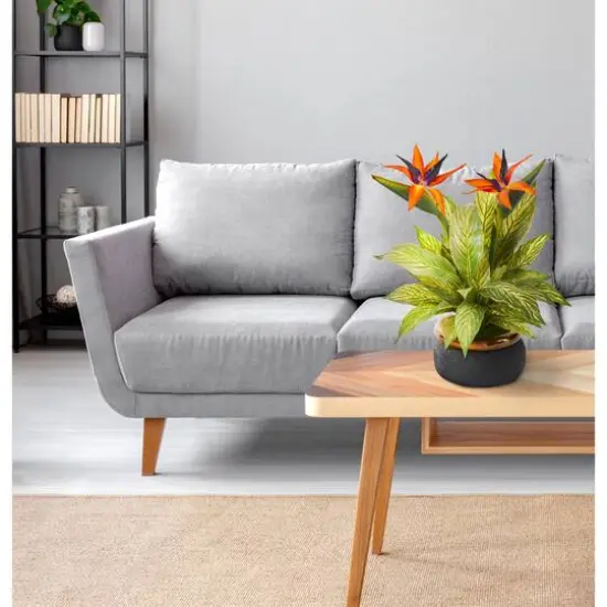 20" Bird of Paradise and Musa Leaf Arrangement in Stoneware Bowl {4}