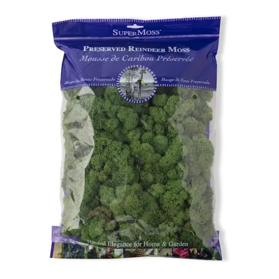 SuperMoss&reg; 8oz. Basil Preserved Reindeer Moss {1}
