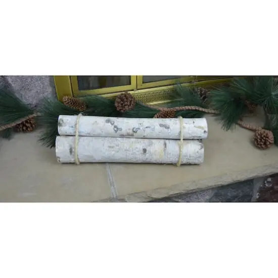 Wilson&reg; Enterprises Roped Birch Bundle Set {2}