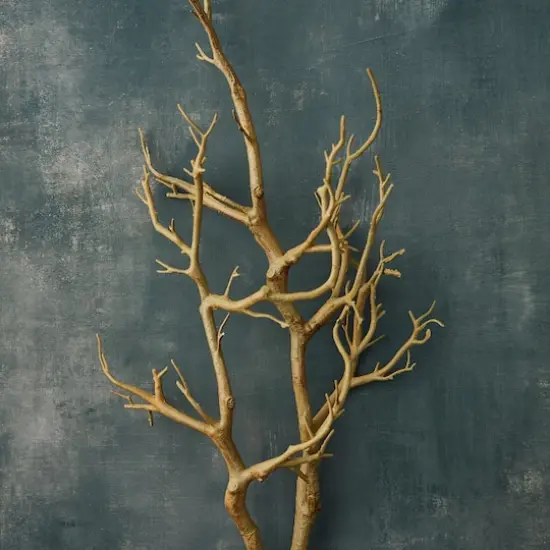 3ft. Bare Birch Branch by Ashland&reg; {3}