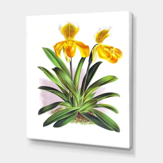 Designart - Vintage Yellow Orchid - Traditional Canvas Wall Art Print {1}