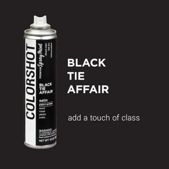 COLORSHOT&reg; Premium Satin Spray Paint Black Tie Affair {4}