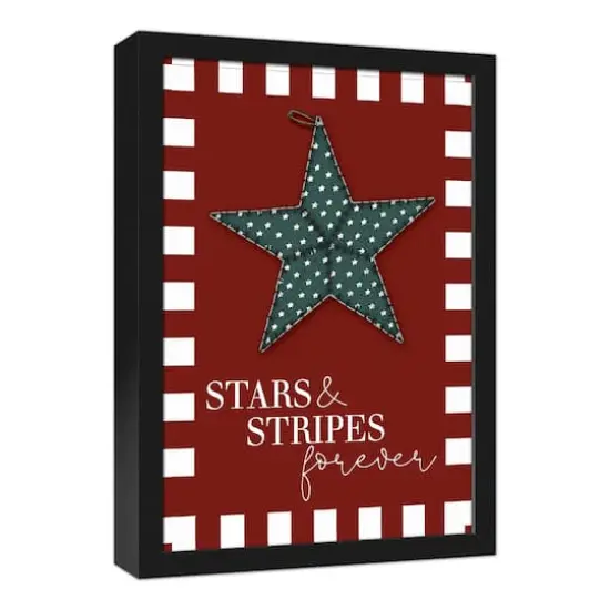 Primitive Star Black Framed Canvas {3}