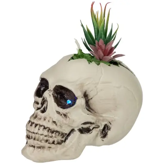 9" LED Lighted Succulent Halloween Skull Planter {6}