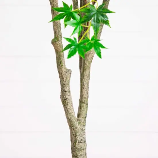 7ft. Artificial Maple Tree {6}