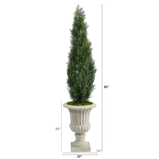 5ft. Cedar Tree in Sand Finished Urn {3}