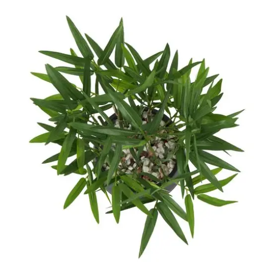 13" Green Faux Foliage Artificial Plant with Black Pot {4}