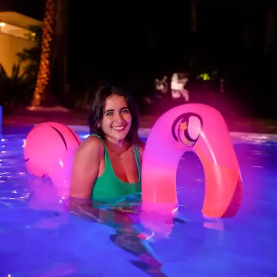 PoolCandy Illuminated LED Flamingo Ride On Noodle {3}