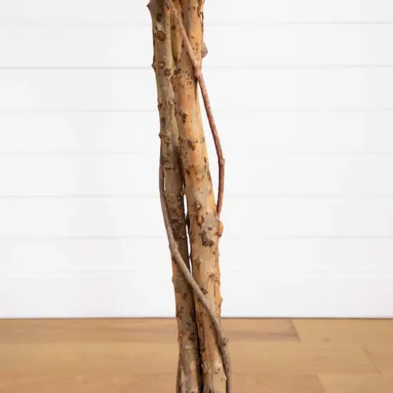 9ft. Potted Ficus Tree {8}