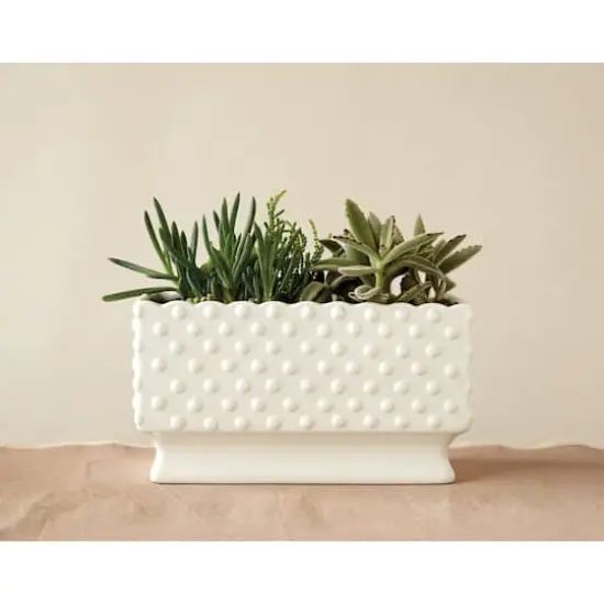 Hello Honey&reg; 11" White Hobnail Rectangle Ceramic Planter {4}