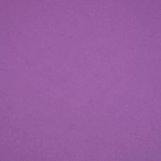 12" x 12" Cardstock Paper by Recollections&trade;, 25 Sheets Grape {4}