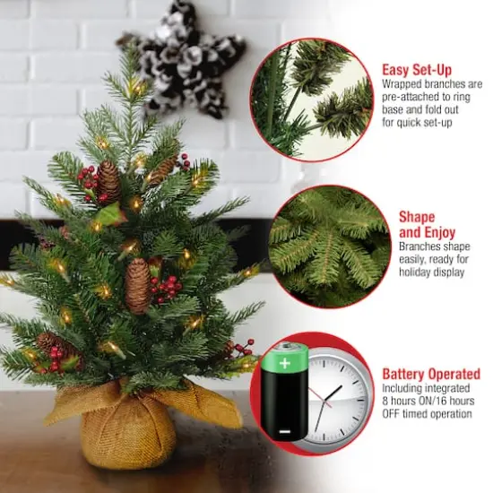 2ft. Pre-Lit Nordic Spruce&reg; Artificial Christmas Tree, Warm White LED Lights {6}