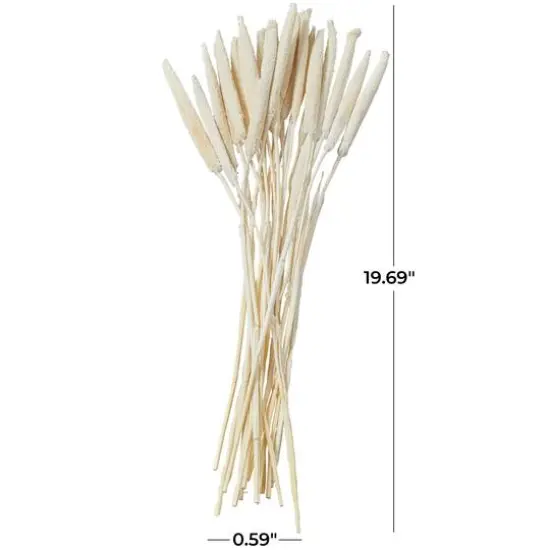 Dried Plant Bunny Tail Natural Foliage with Long Stems White {6}