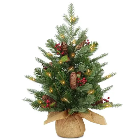 2ft. Pre-Lit Nordic Spruce&reg; Artificial Christmas Tree, Warm White LED Lights {1}